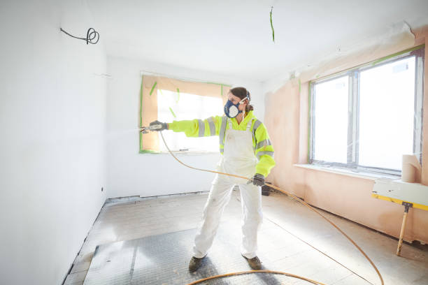 Best Mold Damage Restoration  in Cannelton, IN
