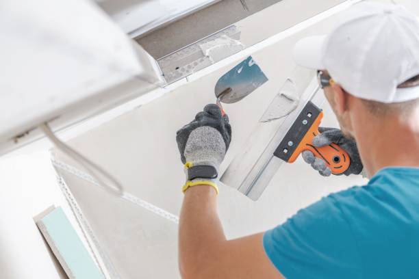 Professional Mold Removal in Cannelton, IN